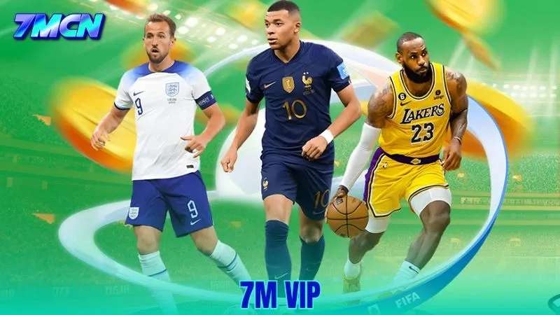 7M VIP Là Gì? Tính Năng Nâng Cao Và Cách Sử Dụng Hiệu Quả