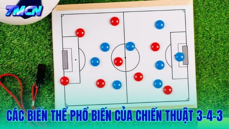 Từ 3-4-3 truyền thống đến các biến thể linh hoạt trên sân cỏ