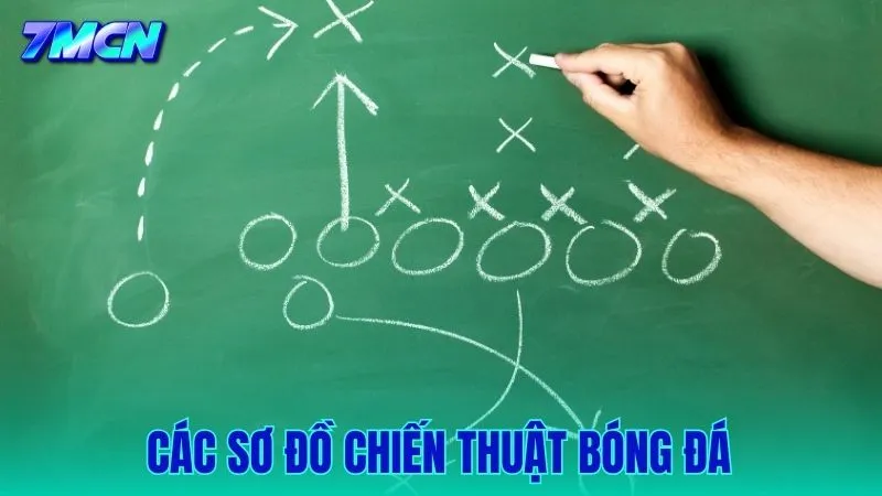 Tổng Hợp Các Sơ Đồ Chiến Thuật Bóng Đá Từ Cơ Bản Đến Nâng Cao