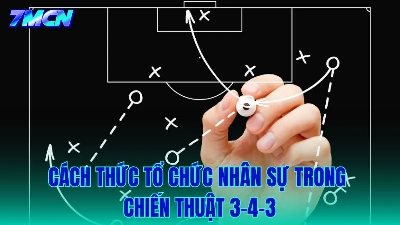 Cách sắp xếp và vai trò cụ thể của từng vị trí trong hệ thống 3-4-3