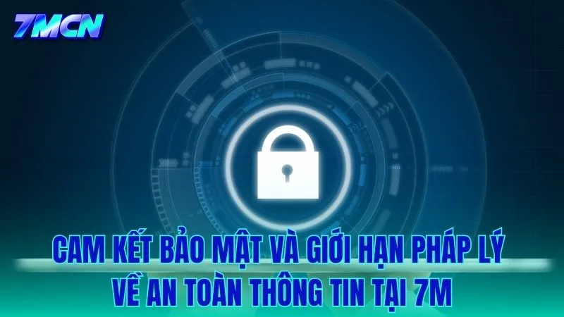 Giới hạn về mặt kỹ thuật và cam kết bảo mật nội bộ