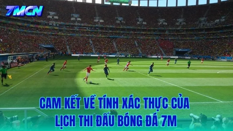Cam kết về tính cập nhật và xác thực của dữ liệu lịch thi đấu