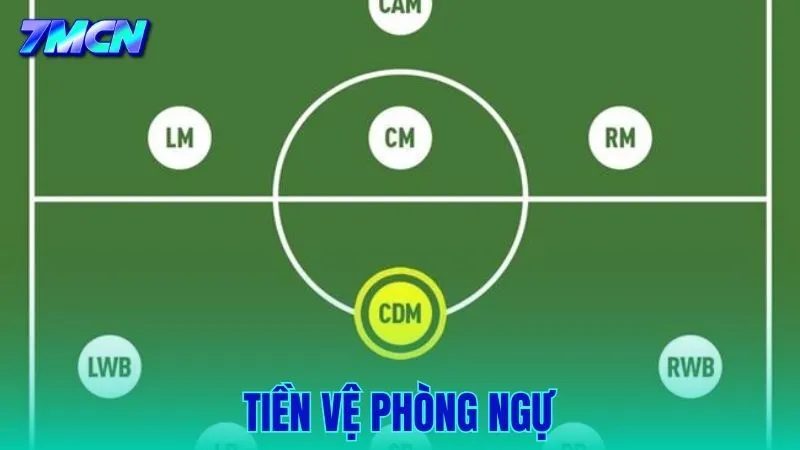 Tiền Vệ Phòng Ngự Là Gì? Vai Trò Và Nhiệm Vụ Quan Trọng Trong Đội Hình
