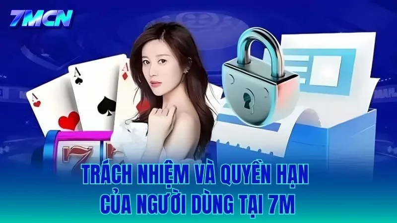 Trách nhiệm của 7M và quyền hạn của người sử dụng