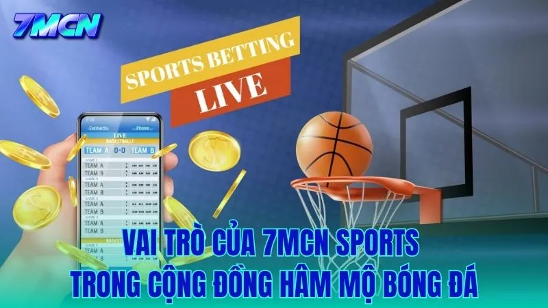 Vai trò cầu nối của 7MCN Sports trong lòng người hâm mộ bóng đá